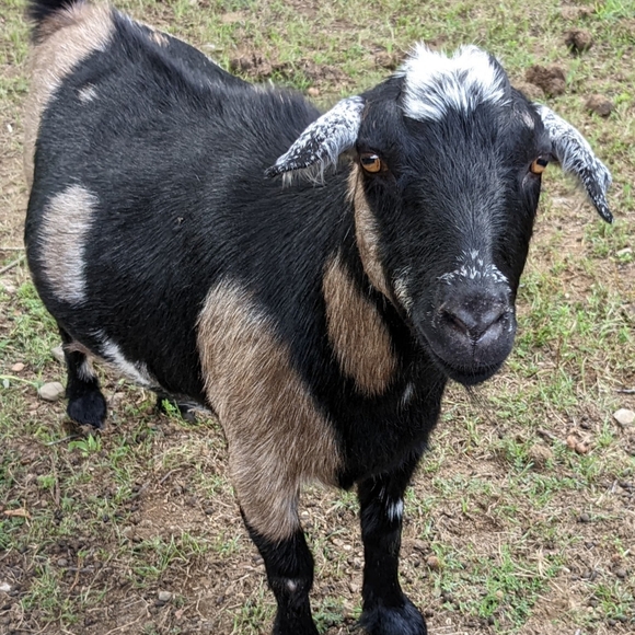 20% Off Bundles Of Two Items Or More - Picture 7 of 10